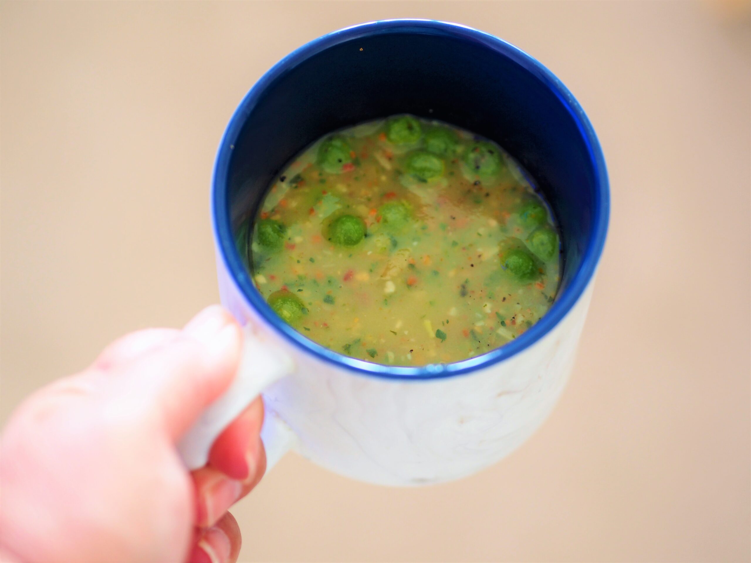 prolon minestrone soup